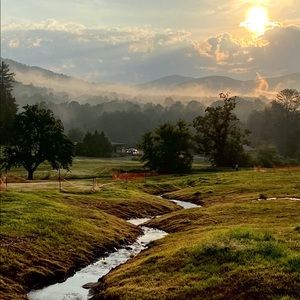 Meet your Posher, Tim